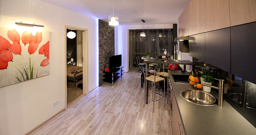 Modern Open-Plan Apartment Interior With Kitchenette And Living Area