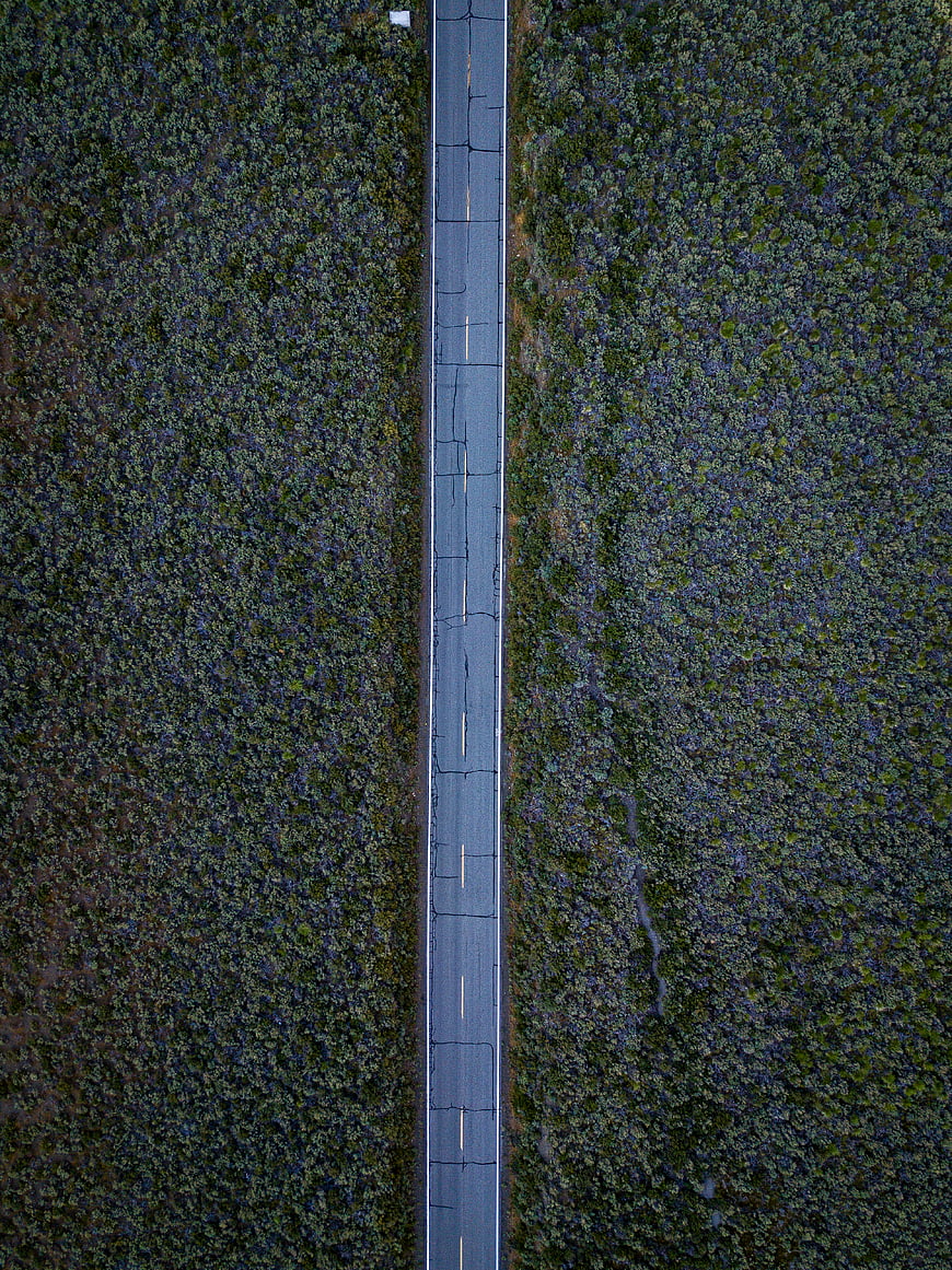 Aerial view of straight road through dense forest