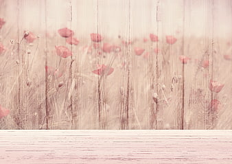 Vintage Pink Poppy Field on Wooden Background