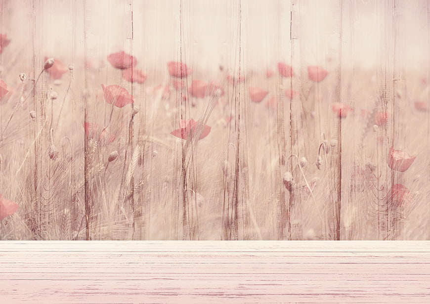 Vintage Pink Poppy Field on Wooden Background