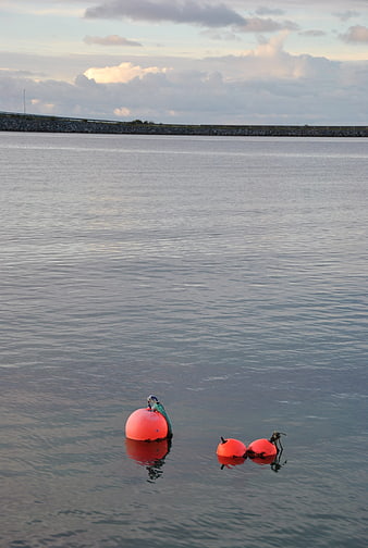 Orange buoys floating in calm sea water with distant breakwater