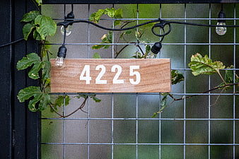Rustic wooden house number sign 4225 on wire fence