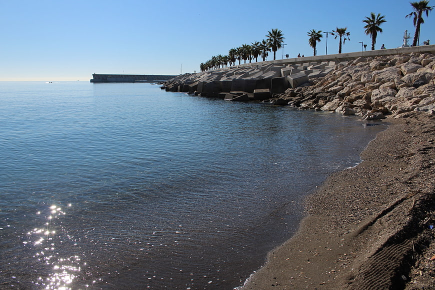 Sunny coastal breakwater with palm trees and calm blue sea