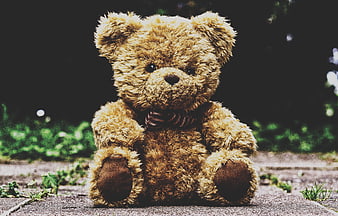 Vintage Teddy Bear Sitting On Outdoor Stone Path