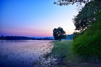 Serene Lake Landscape at Twilight with Purple Sky