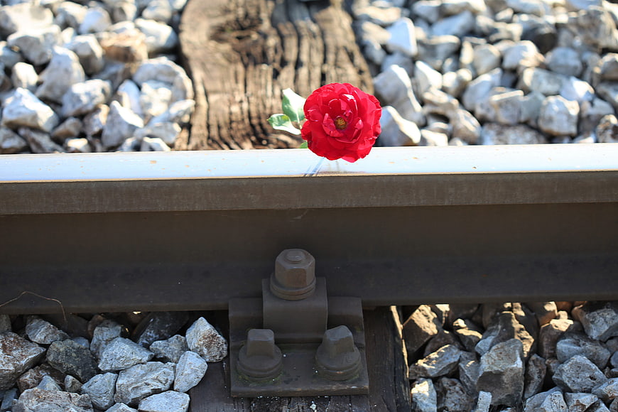 Red rose on railway track with gravel and wooden sleeper