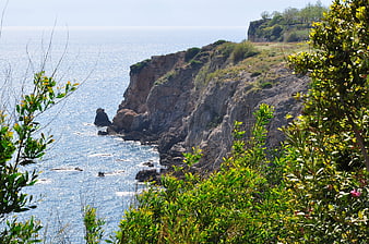 Sunny coastal cliffs with lush green vegetation overlooking the blue sea