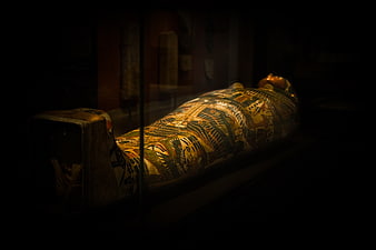 Ancient Egyptian Sarcophagus in Museum Display