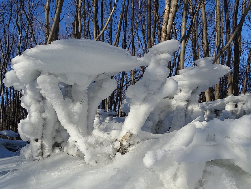 Thick Ice Formations on Frozen River Bank in Winter Forest