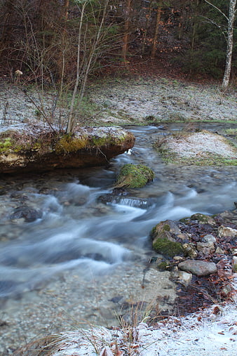 Flowing Mountain Stream in Winter Forest with Frost