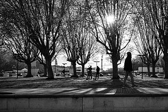 Black and white photo of people walking in Paris park with trees