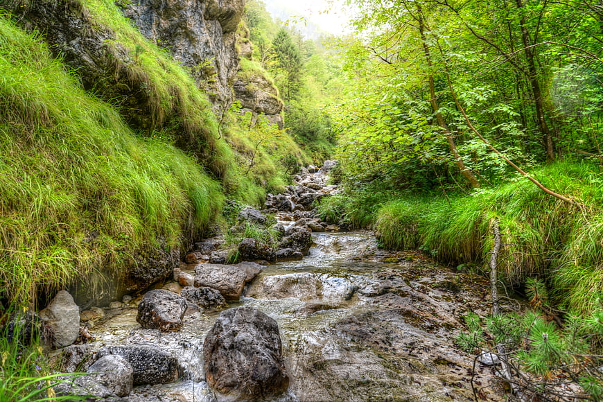 Lush green mountain stream flowing over rocks in forest