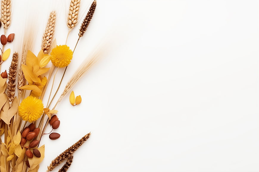 Autumn Harvest Flat Lay with Wheat, Flowers, and Nuts on White