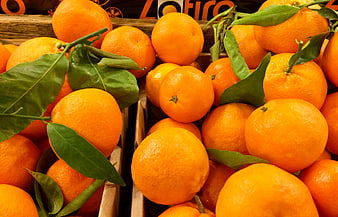 Fresh Oranges with Green Leaves in Wooden Crates