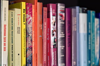 Colorful book spines on a shelf with shallow depth of field