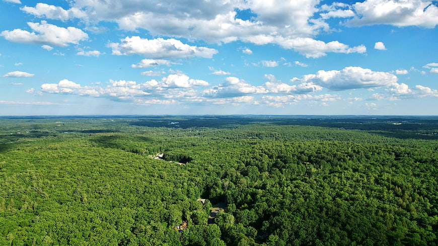 Aerial View of Lush Green Forest Under Blue Sky