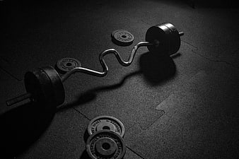 Black and white curl barbell on gym floor