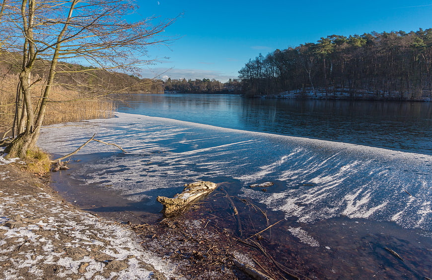 Frosty Lake Shore in Winter with Bare Trees and Blue Sky