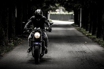 Motorcyclist riding down a dark tree-lined road