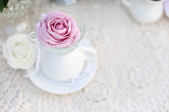 Pink Rose in Glass Cup on White Doily