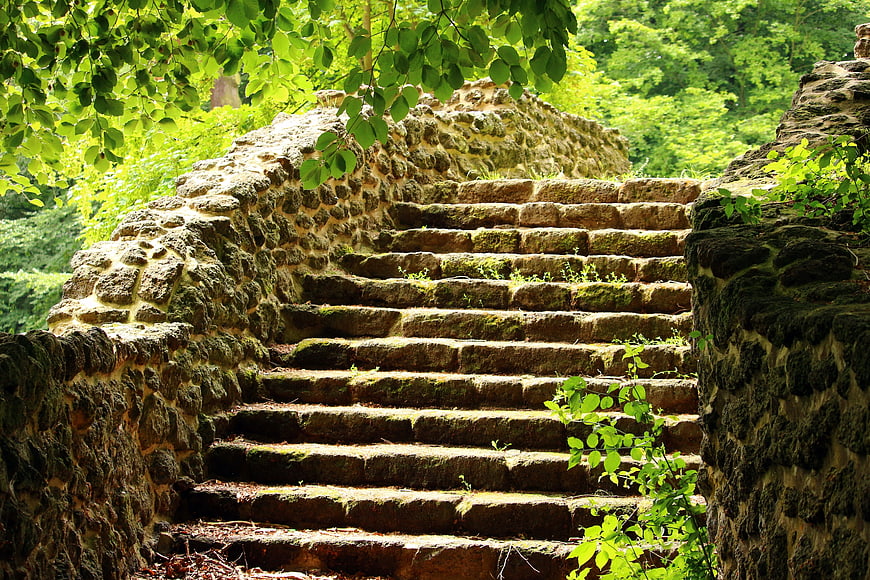 Ancient stone stairs in a lush green forest park