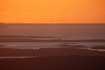 Silhouetted Birds Flying Over Coastal Landscape at Sunset
