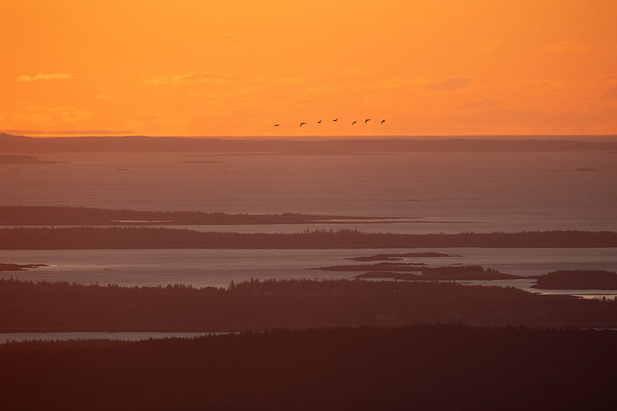 Silhouetted Birds Flying Over Coastal Landscape at Sunset