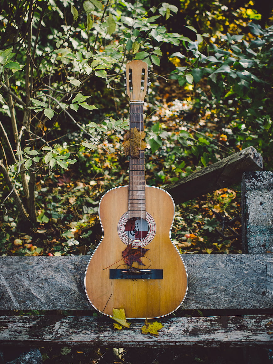 Acoustic Guitar on Wooden Bench in Autumn Forest