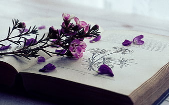 Purple flowers on open vintage book with botanical illustration