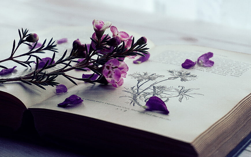 Purple flowers on open vintage book with botanical illustration