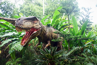 Life-sized Tyrannosaurus Rex Model in Tropical Rainforest Garden