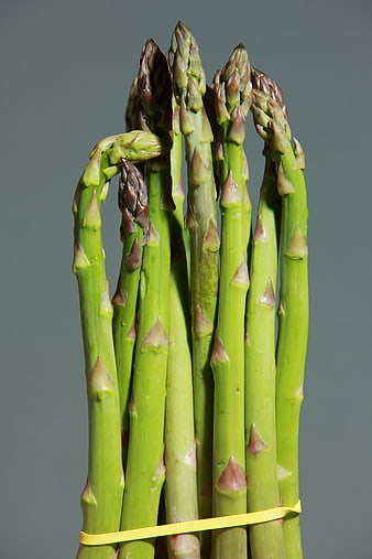 Fresh Green Asparagus Bundle on Gray Background