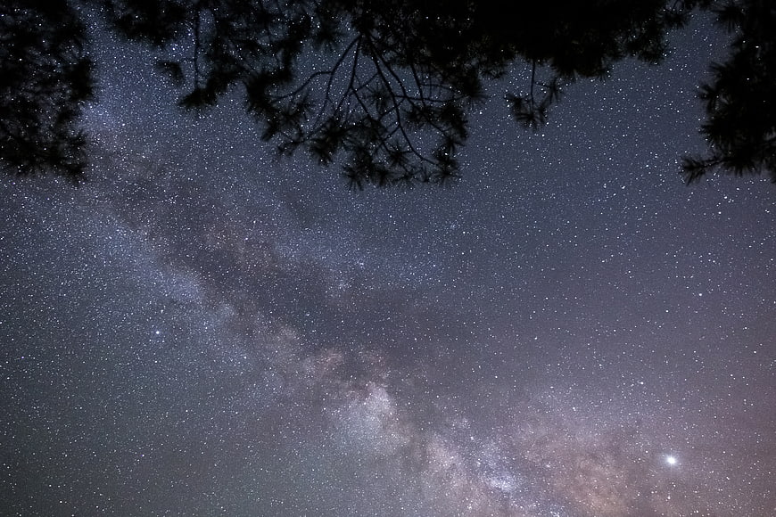 Milky Way Galaxy Night Sky with Pine Tree Silhouette