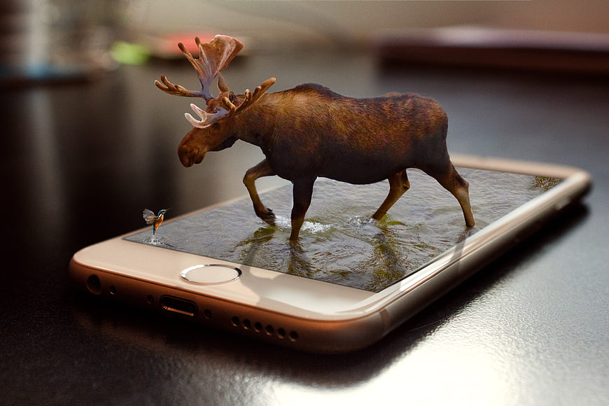 Moose and Hummingbird Emerging from Smartphone Screen