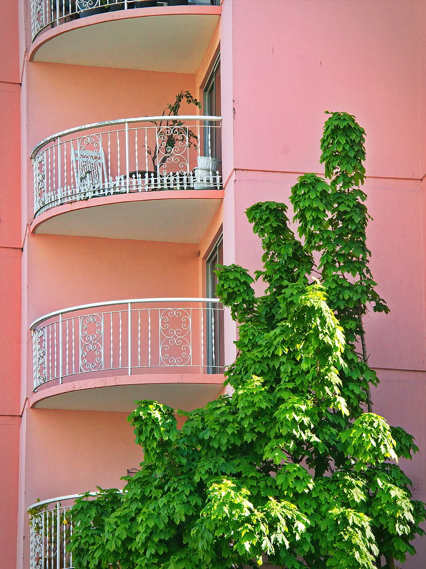 Pink Apartment Building with Curved Balconies and Green Tree