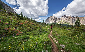 Hiker on Mountain Trail in Dolomites with Wildflowers
