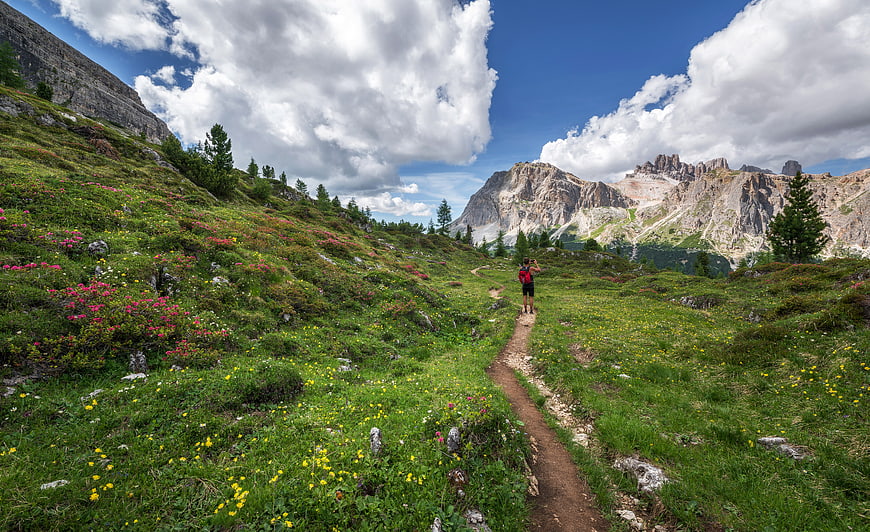 Hiker on Mountain Trail in Dolomites with Wildflowers