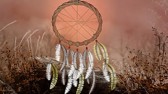 Dreamcatcher with Feathers in Autumnal Field