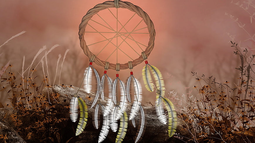 Dreamcatcher with Feathers in Autumnal Field