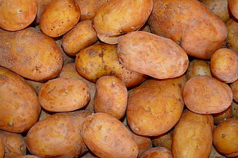 Close-up of raw yellow potatoes with textured skin