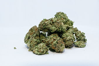Dried cannabis buds on white background