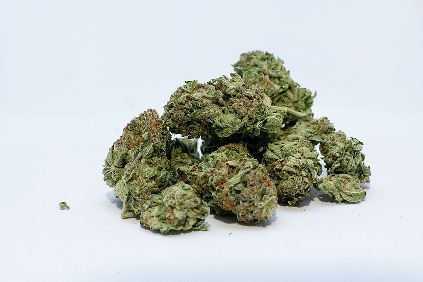 Dried cannabis buds on white background