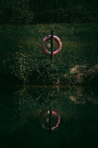 Pink Lifebuoy on Post by Dark River with Reflection