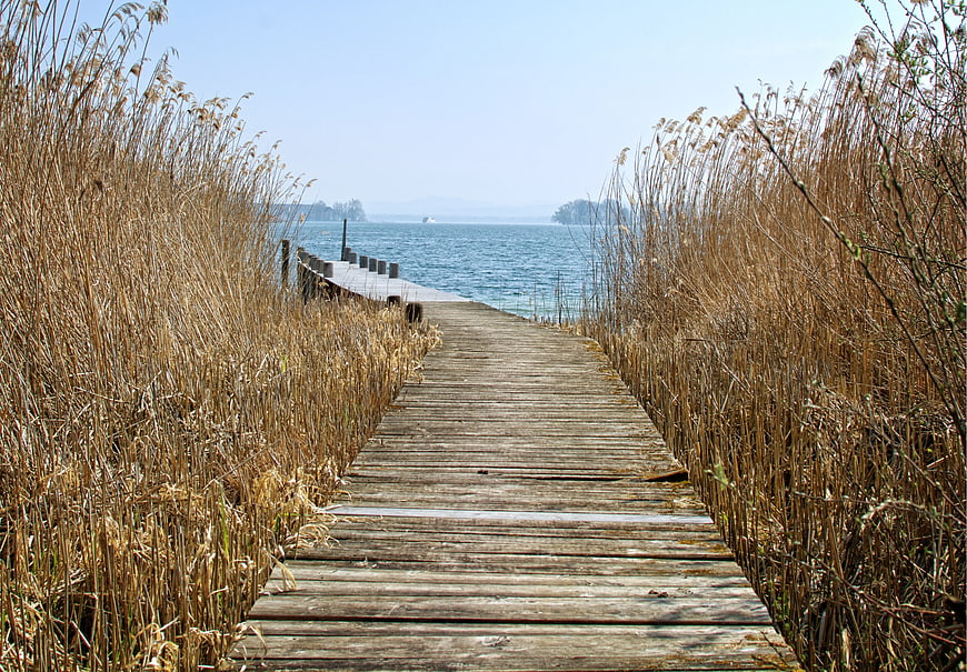 Wooden Boardwalk Through Reeds to Lake