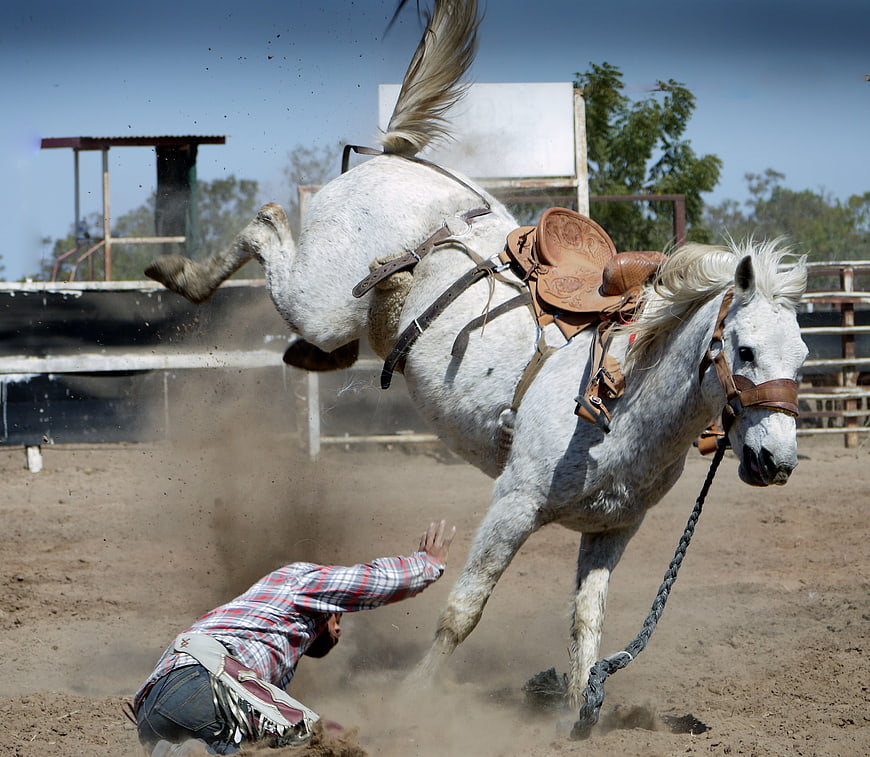 White horse bucking cowboy in rodeo arena action shot