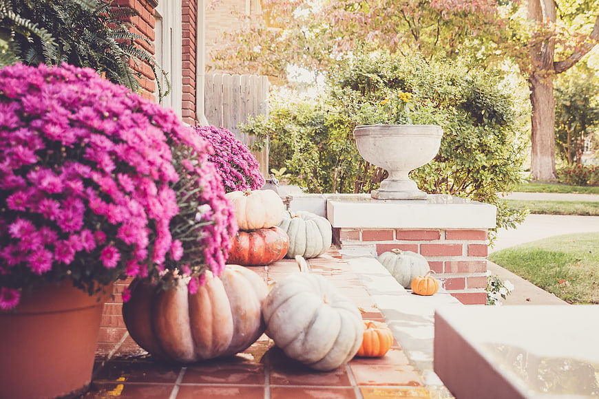 Autumn Porch Decor with Pumpkins and Pink Mums