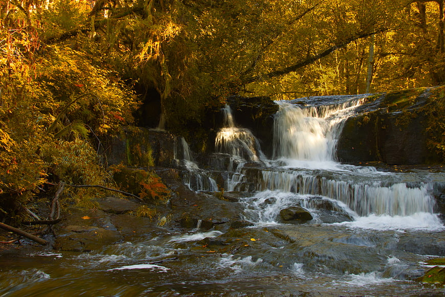 Golden Autumn Waterfall in Lush Forest Stream
