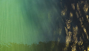 Aerial View of Green River Water with Submerged Seaweed