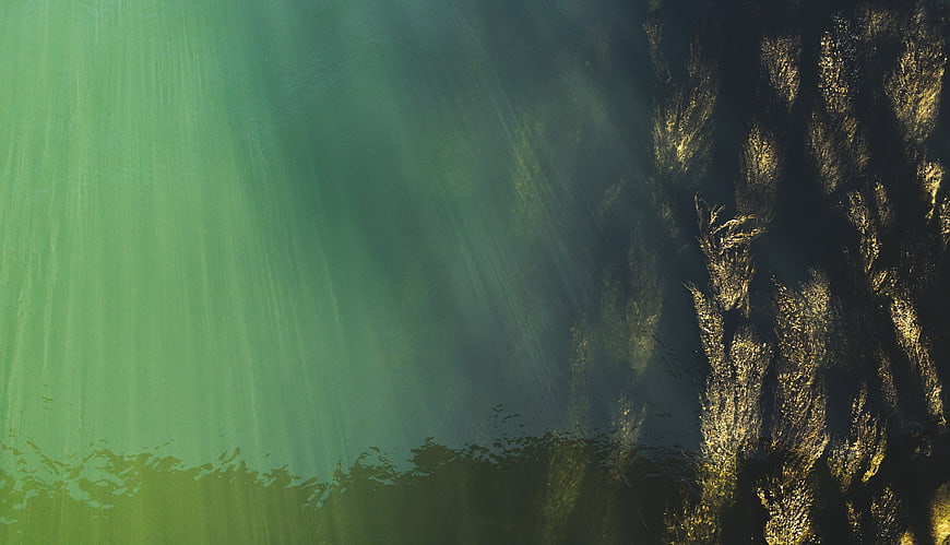 Aerial View of Green River Water with Submerged Seaweed