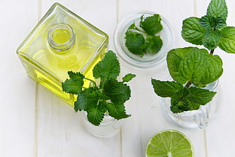 Fresh Mint Leaves, Lime, and Essential Oil on White Wood
